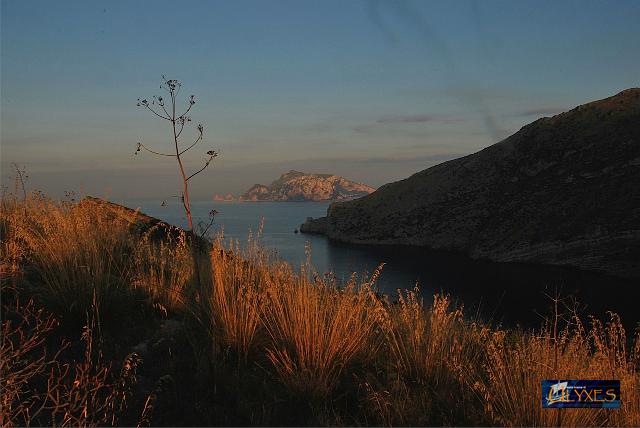 alba rossa.jpg